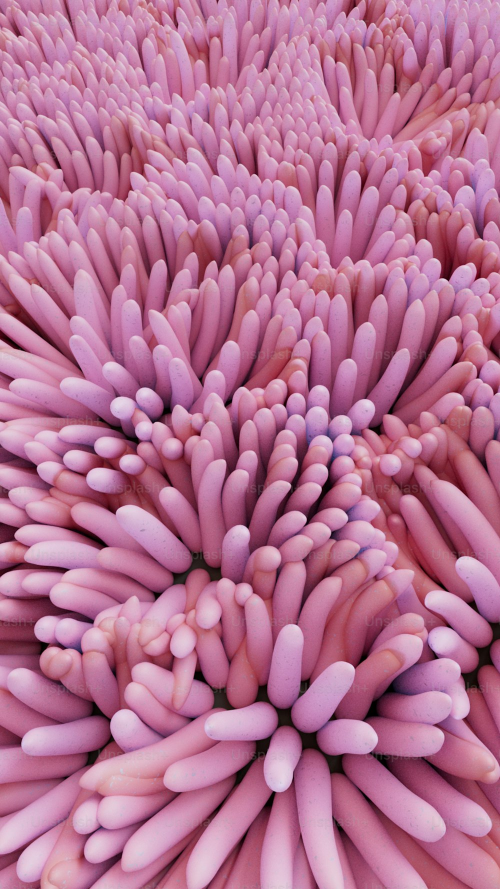 a close up picture of a pink flower