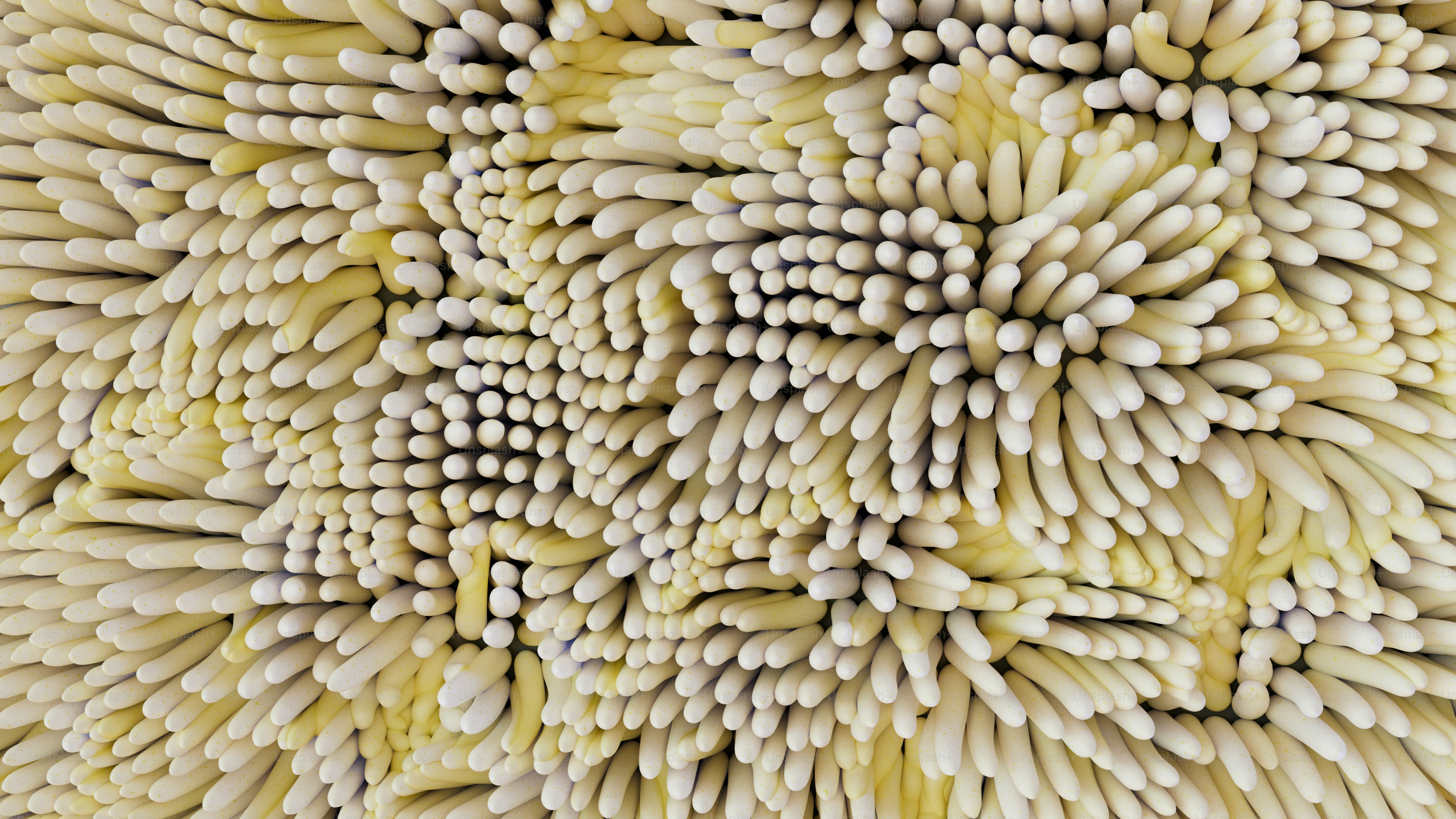 Un primer plano de un montón de objetos blancos