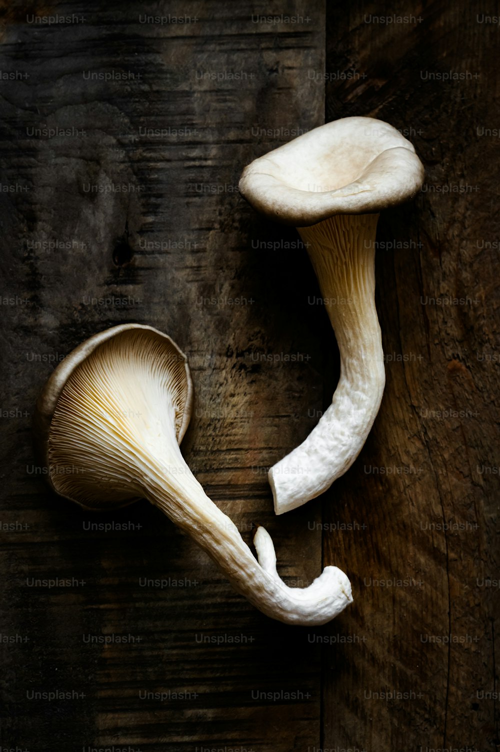 um close up de um cogumelo em uma superfície de madeira