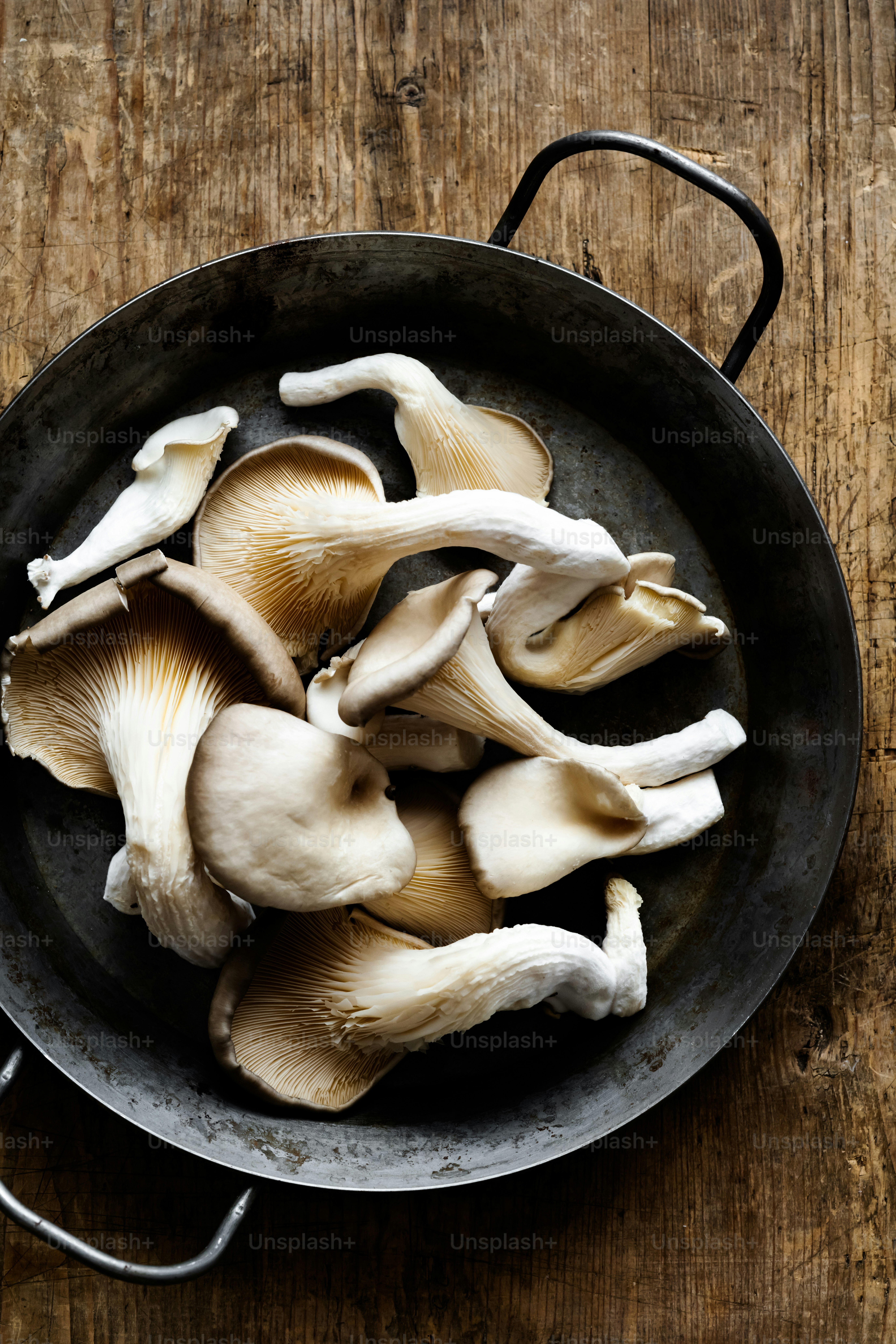 Oyster Mushrooms