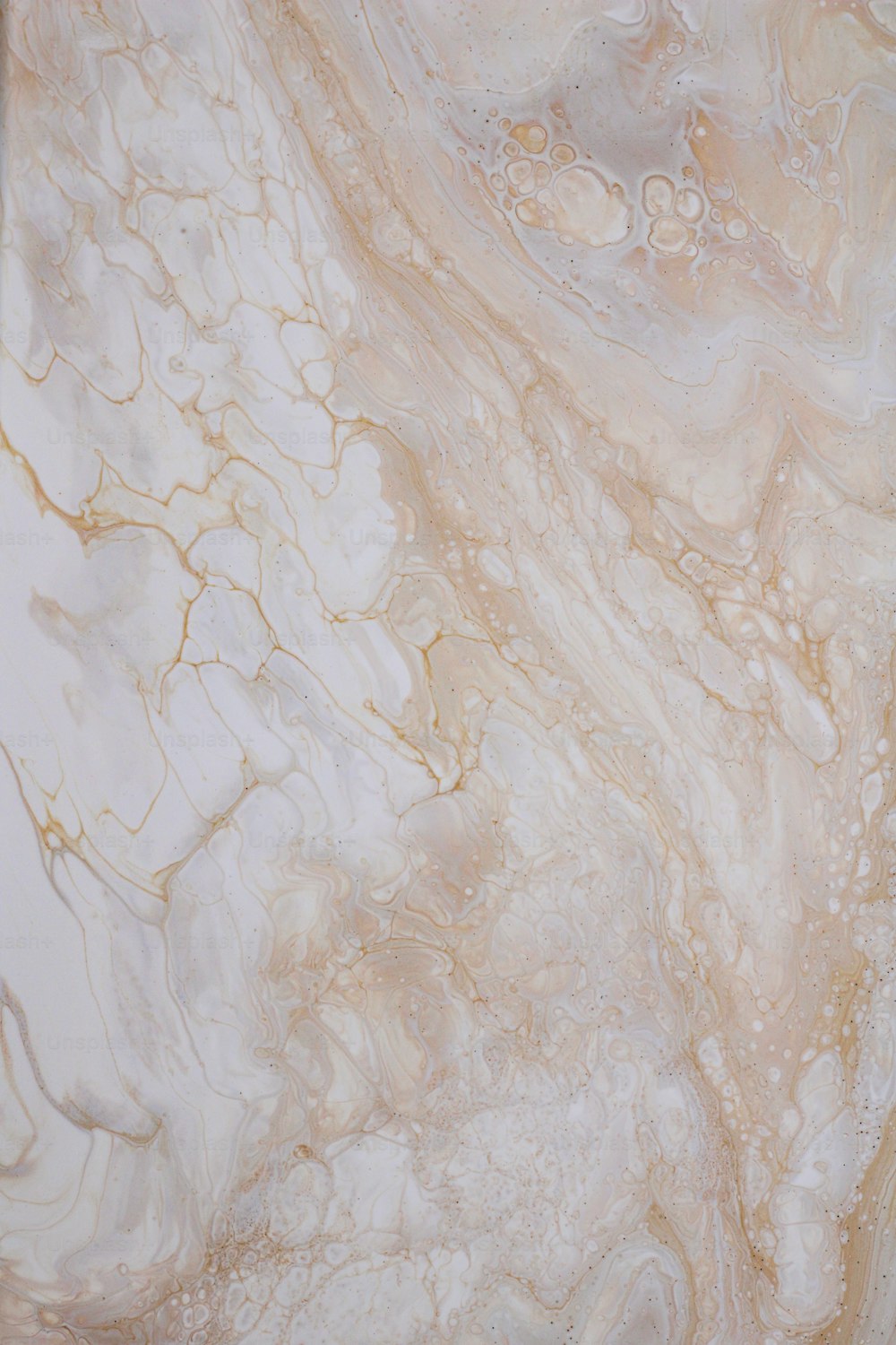 a white and gold marble counter top