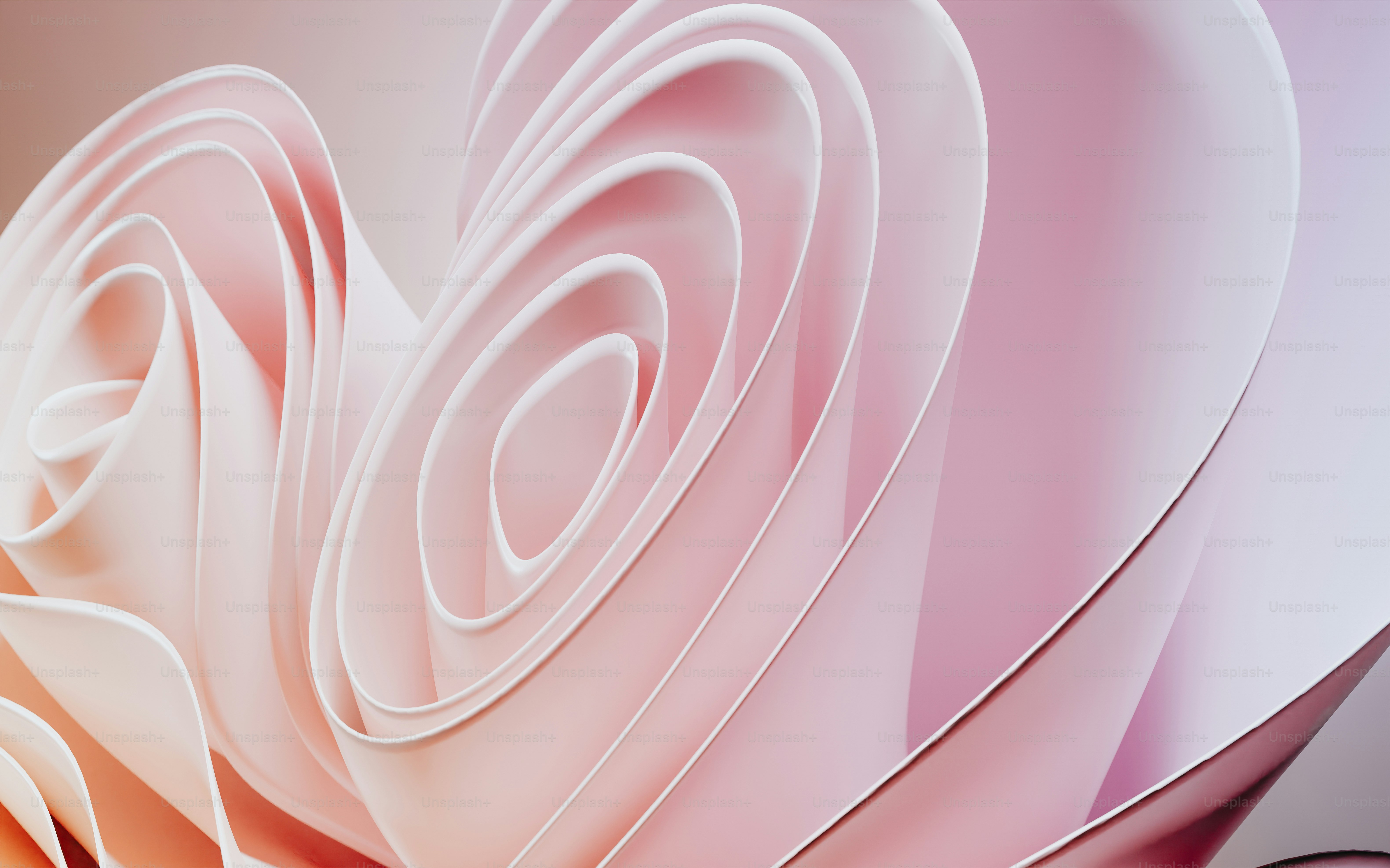 a close up of a pink and white flower