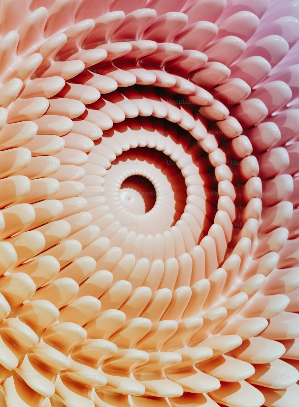 a close up of a flower with a spiral design