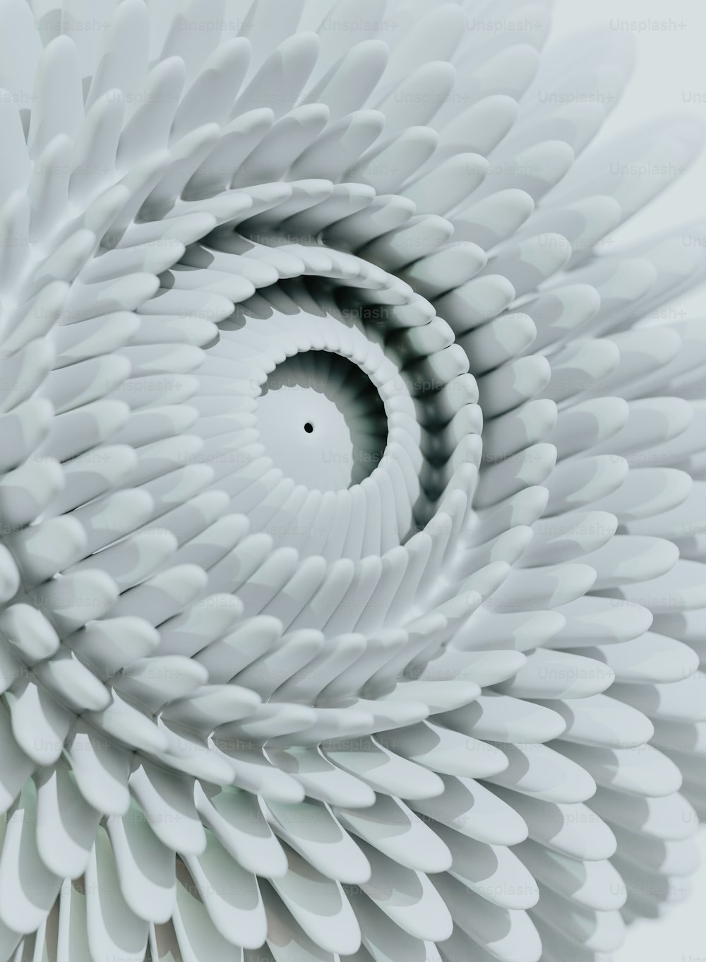 a close up of a white flower with a spiral design