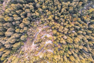 uma vista aérea de uma estrada cercada por árvores