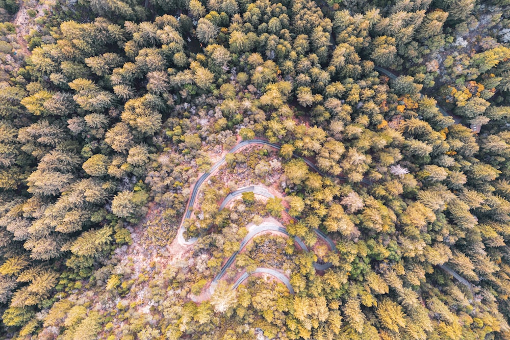 an aerial view of a road surrounded by trees