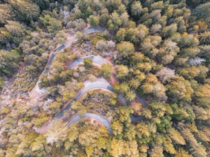 an aerial view of a winding road surrounded by trees