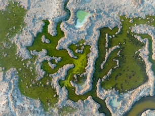 una veduta aerea di uno specchio d'acqua coperto di alghe