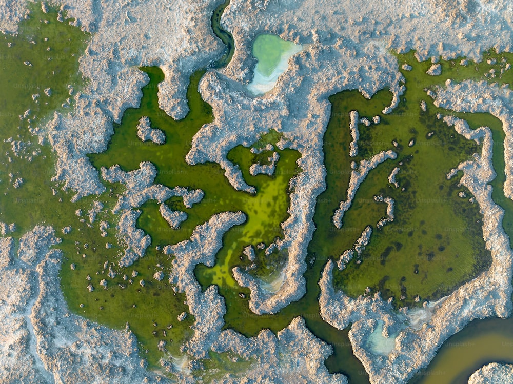 an aerial view of a body of water covered in algae