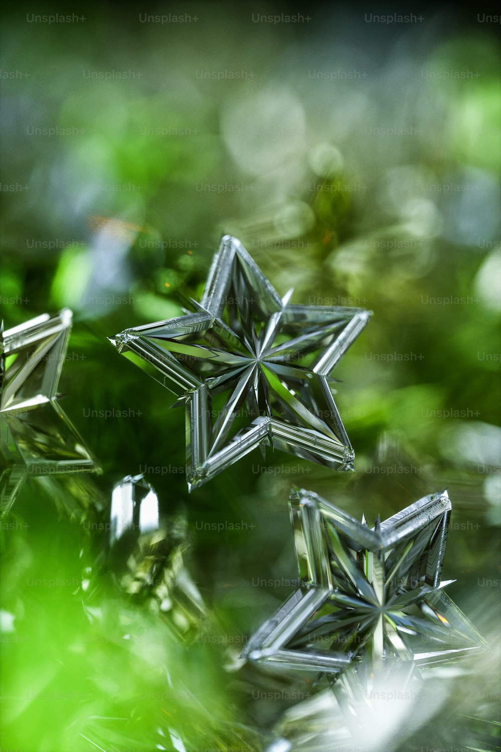 a close up of three snowflakes on a tree