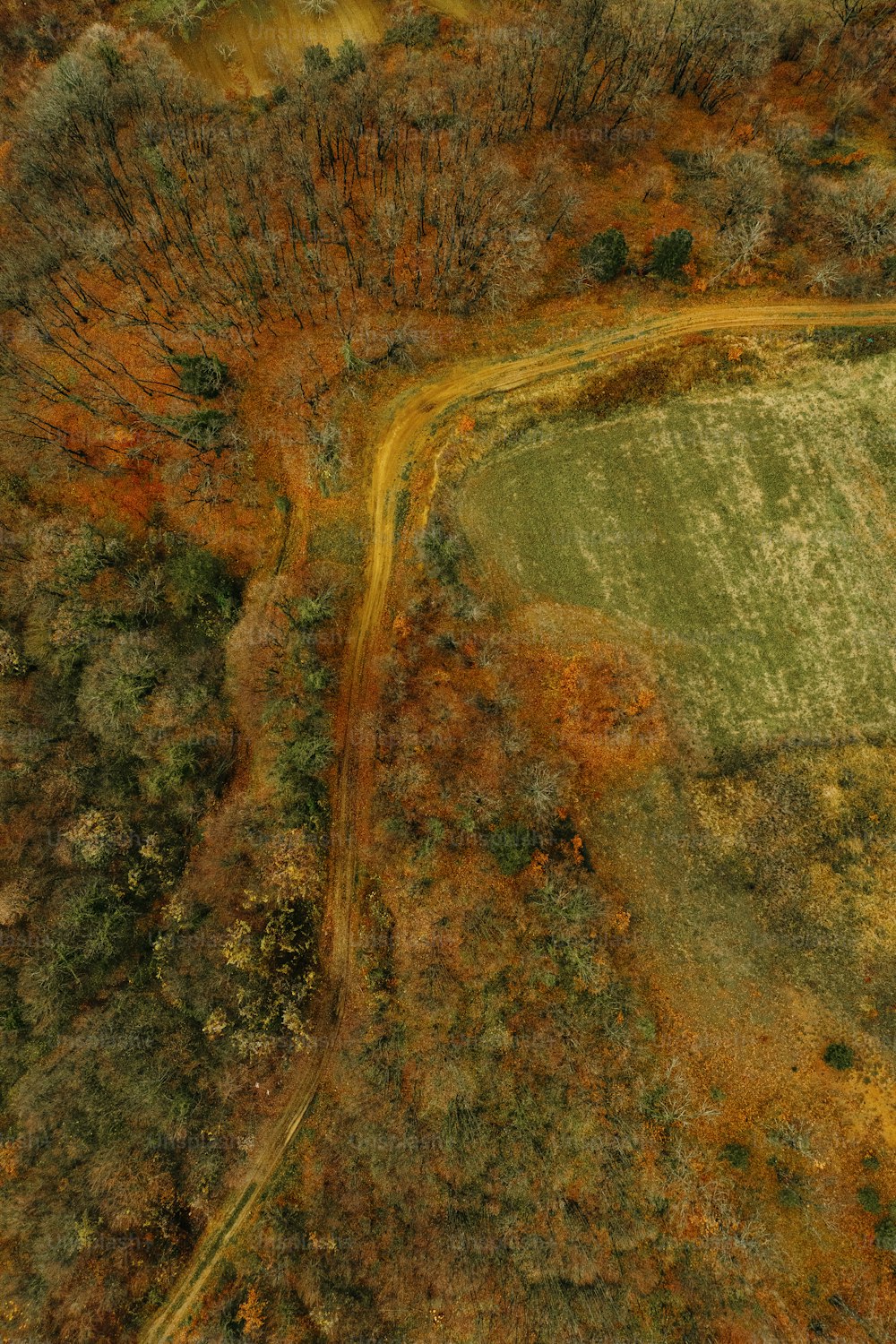 an aerial view of a field and trees