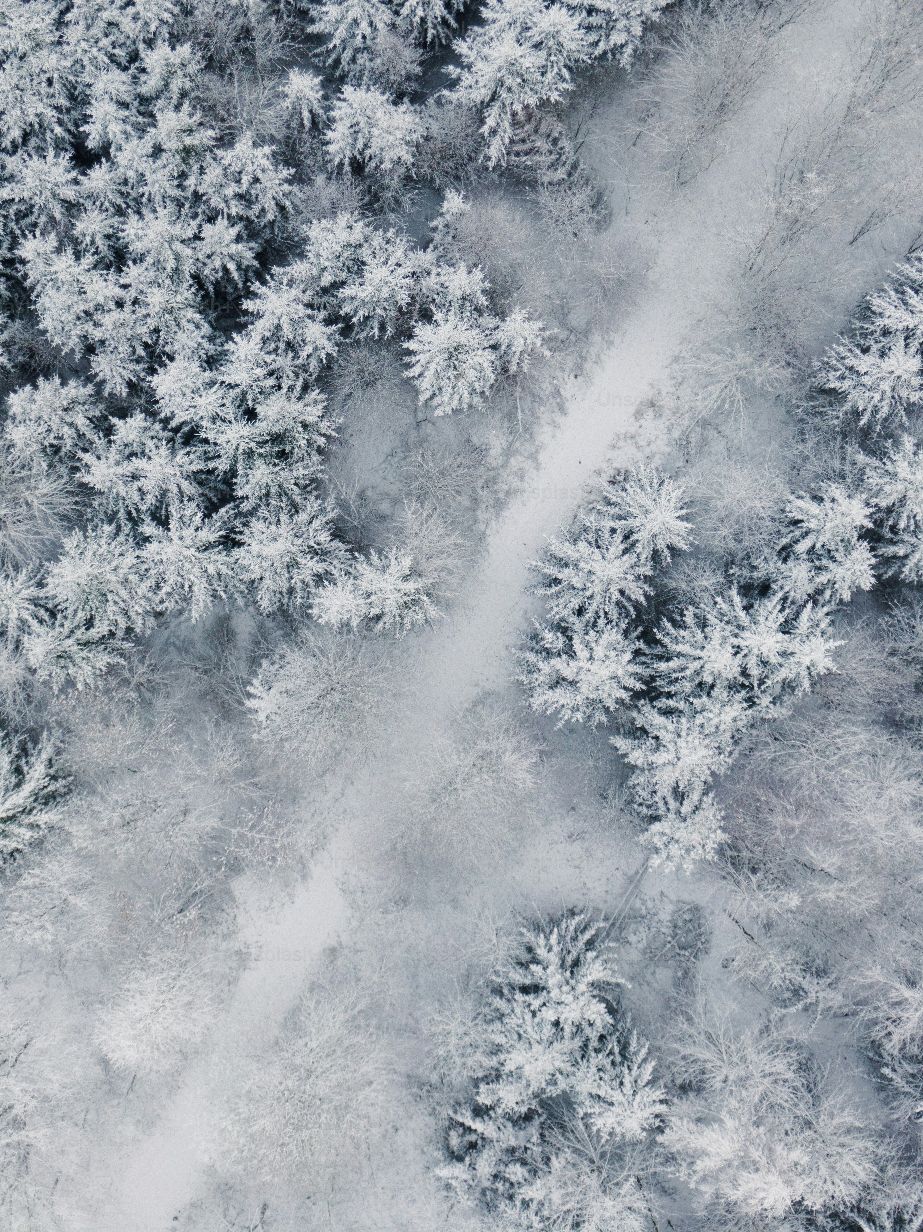 an aerial view of a snow covered forest
