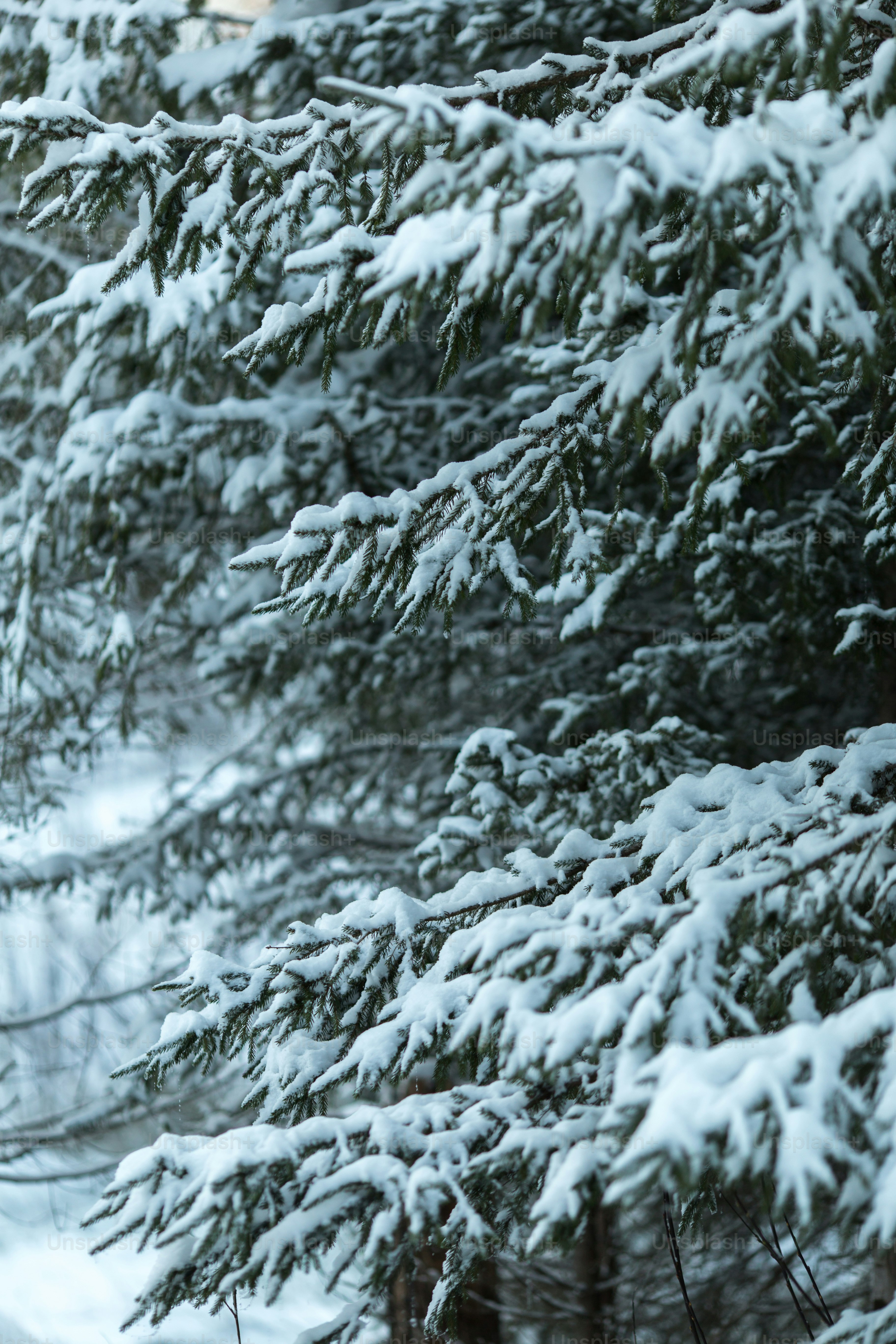 a man riding skis down a snow covered slope