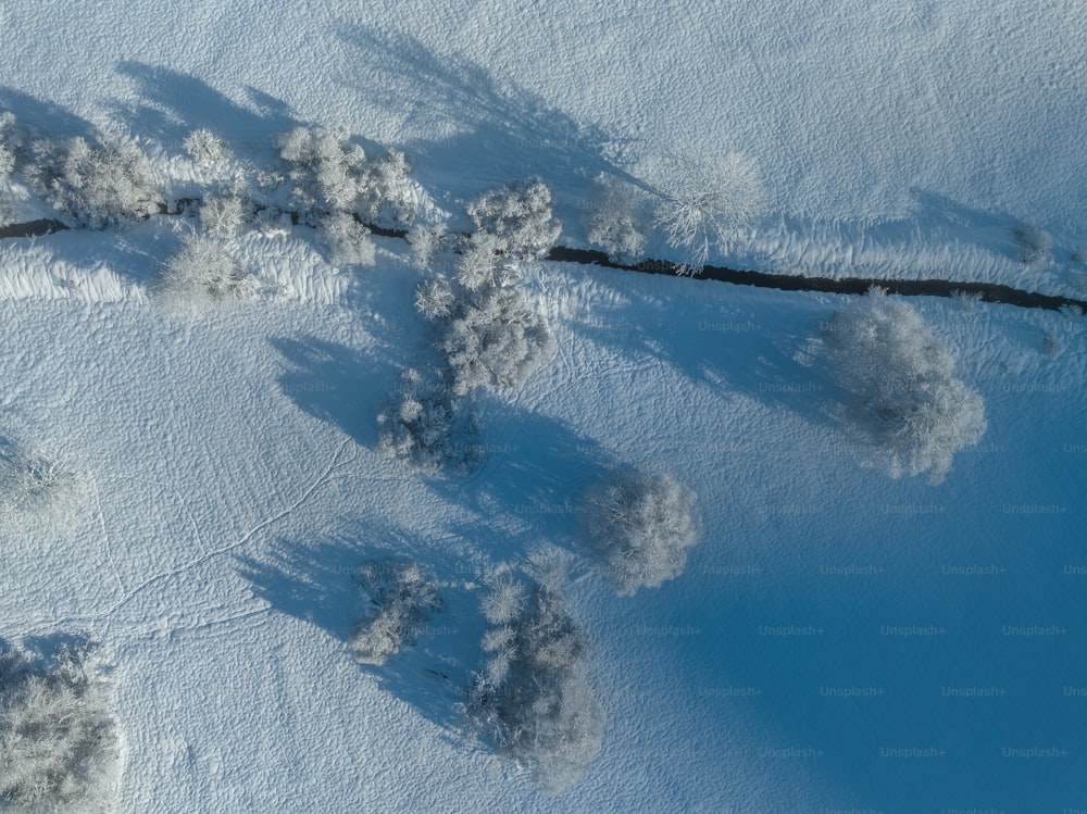 an aerial view of a snowy area with trees