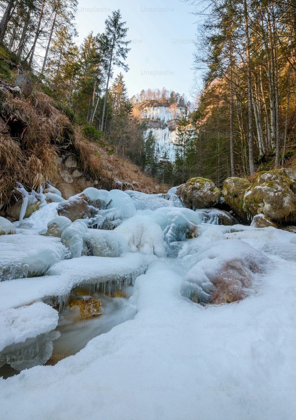 Ein Bach, der durch einen schneebedeckten Wald fließt