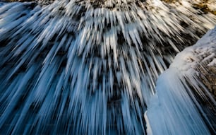 a stream of water running through a forest covered in snow