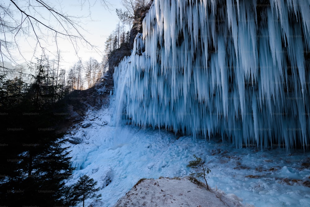 Une cascade gelée au milieu d’une forêt