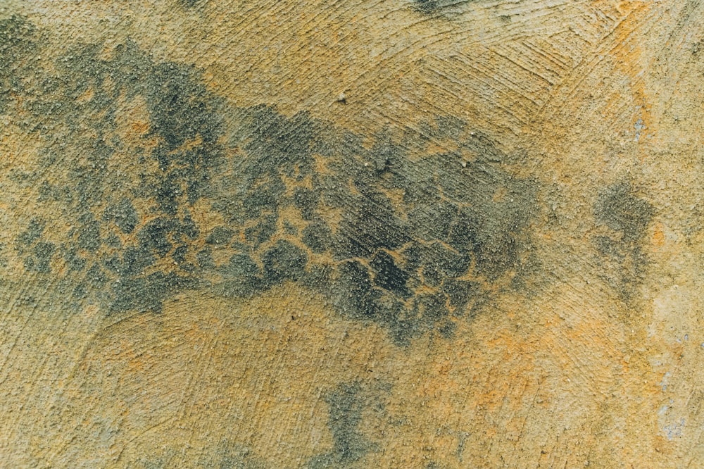 um close up de um pedaço de madeira com muita tinta sobre ele