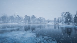 Un lago congelado rodeado de árboles cubiertos de nieve