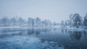 a frozen lake surrounded by snow covered trees