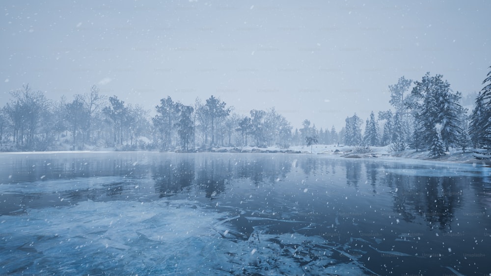 Ein zugefrorener See, umgeben von schneebedeckten Bäumen