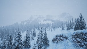 ein schneebedeckter Berg mit immergrünen Bäumen im Vordergrund