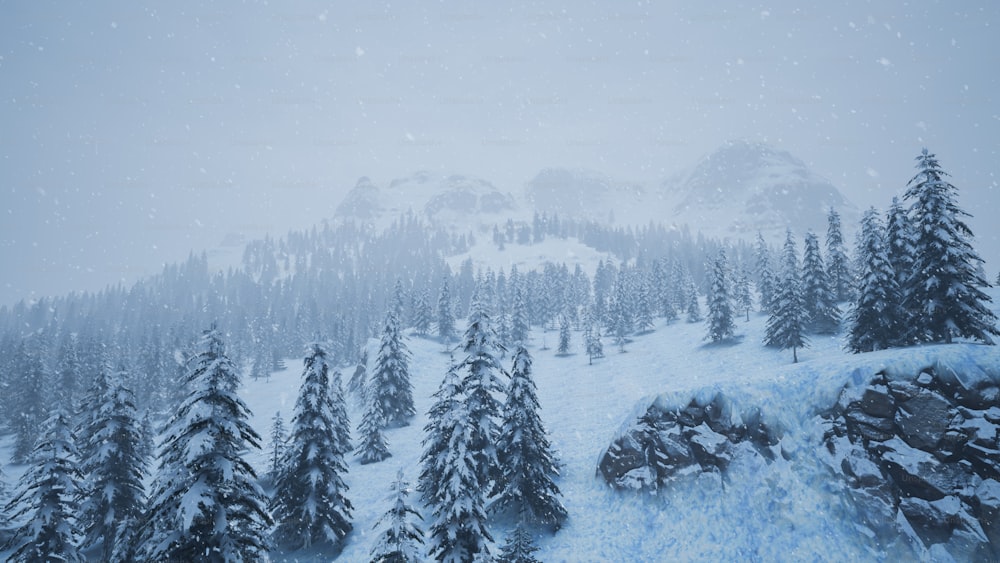 a snow covered mountain with evergreen trees in the foreground