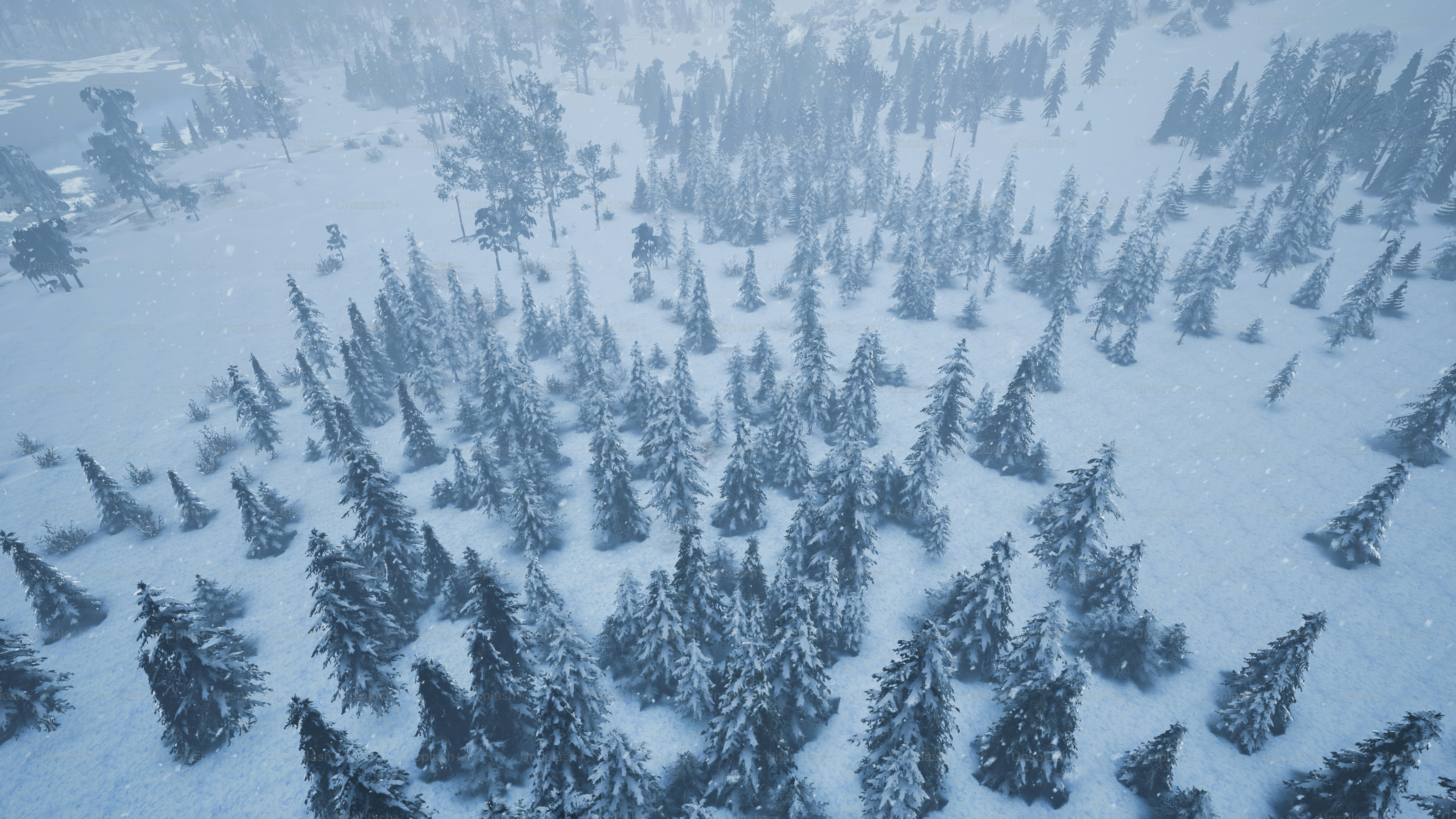 an aerial view of a snow covered forest