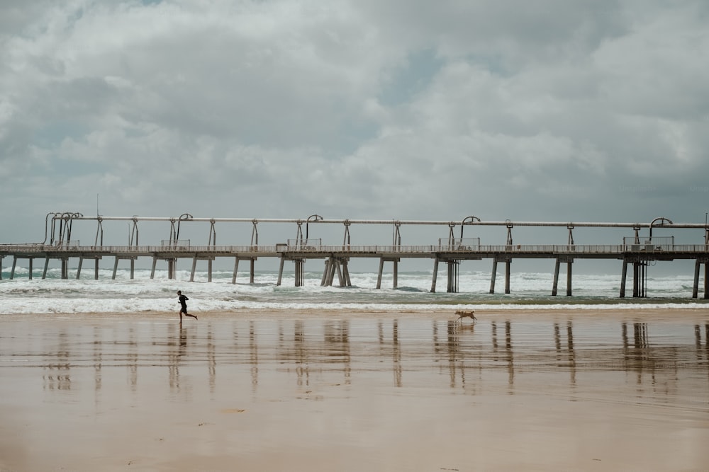 a person walking on a beach near a pier