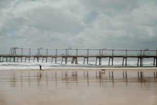 a person walking on a beach near a pier