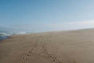 Una larga fila de huellas en la arena de una playa