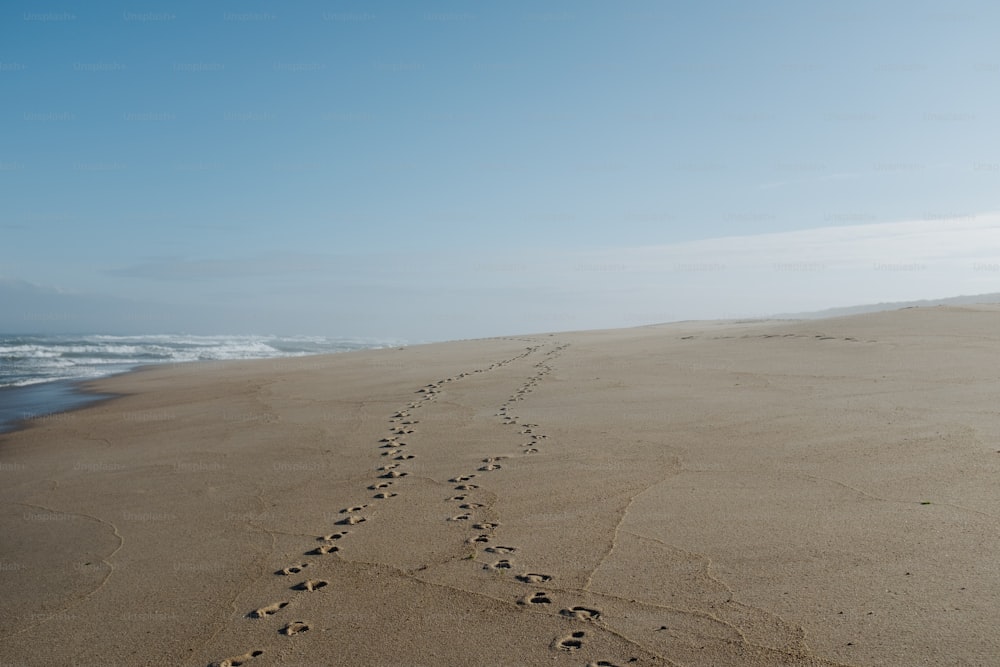 uma longa linha de pegadas na areia em uma praia
