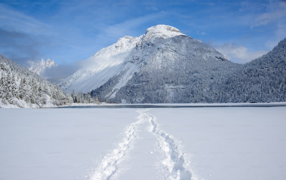 a trail in the snow leading to a mountain