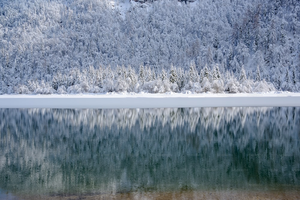 a large body of water surrounded by snow covered trees