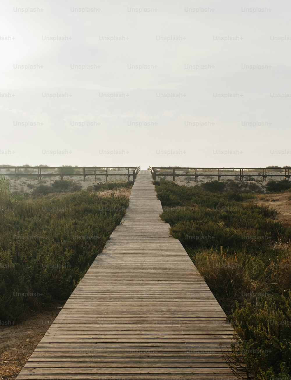 a wooden walkway in a field with a fence in the background