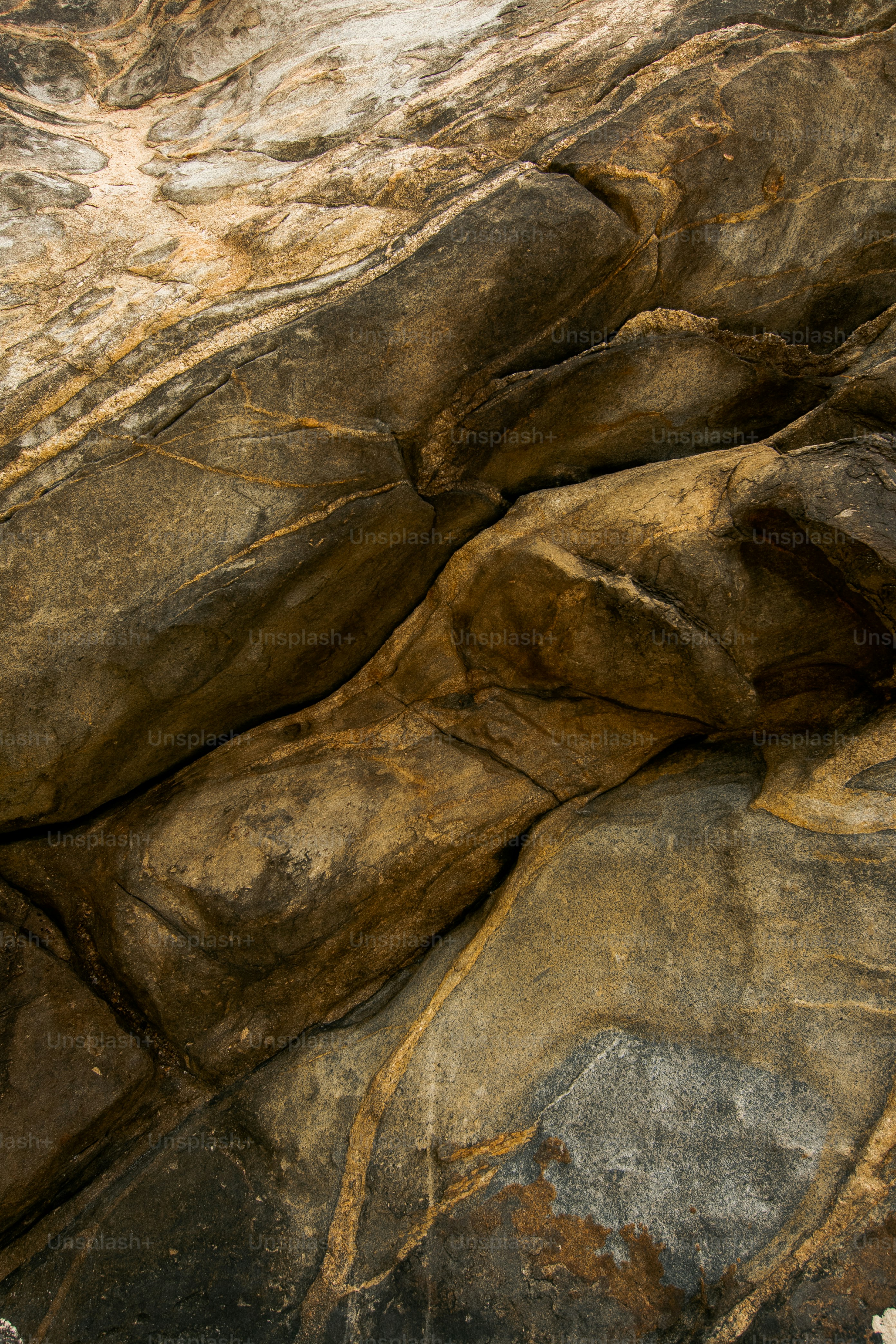 a bird is perched on a rock formation