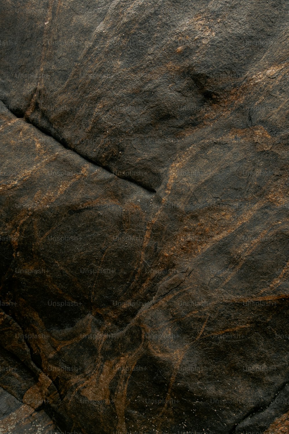 a close up of a rock with a bird on it