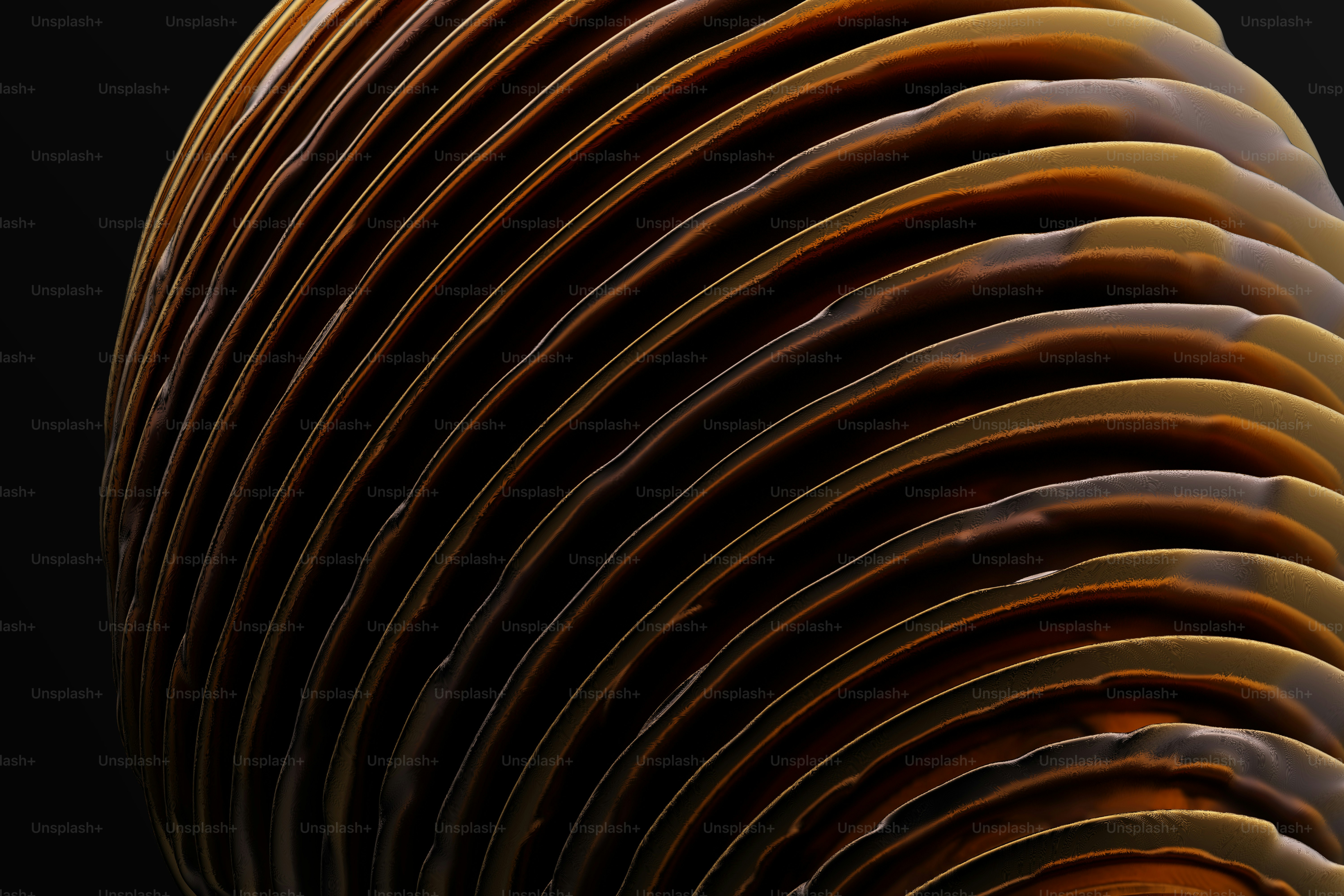 A close up of a large brown object on a black background photo ...