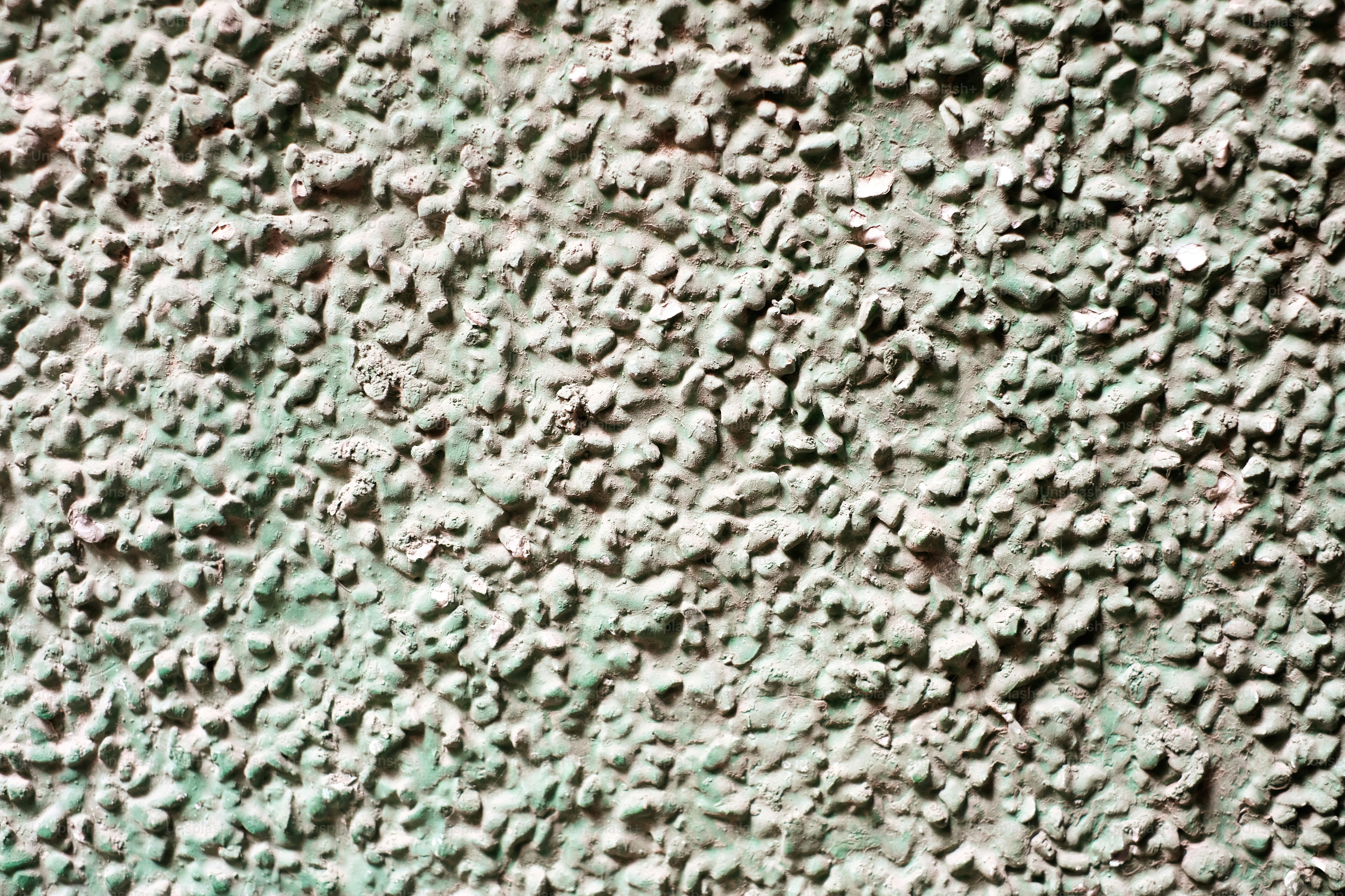 uma vista de perto de uma parede verde