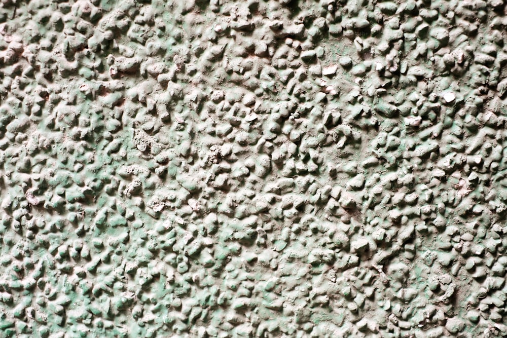 a close up view of a green wall