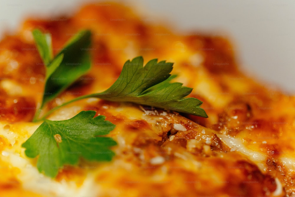 a close up of a plate of food with parsley