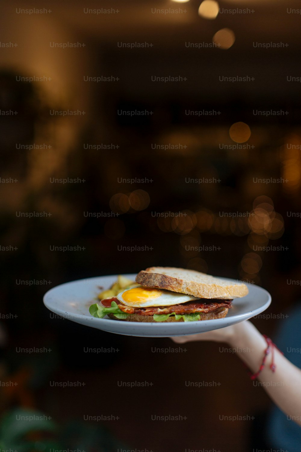 a person holding a plate with a sandwich on it