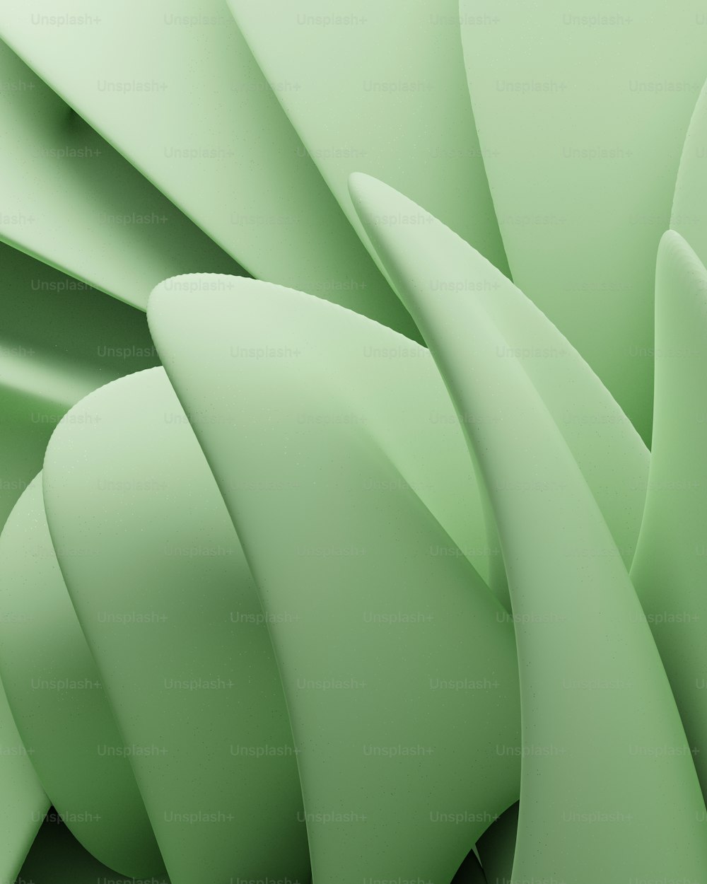 a close up view of a green object