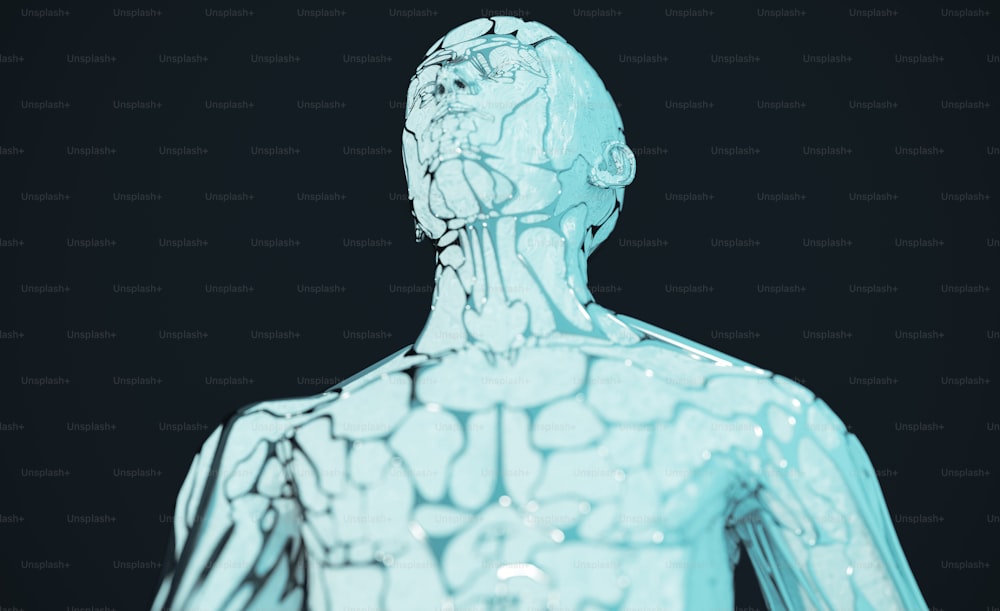 Un'immagine generata al computer del torso di un uomo