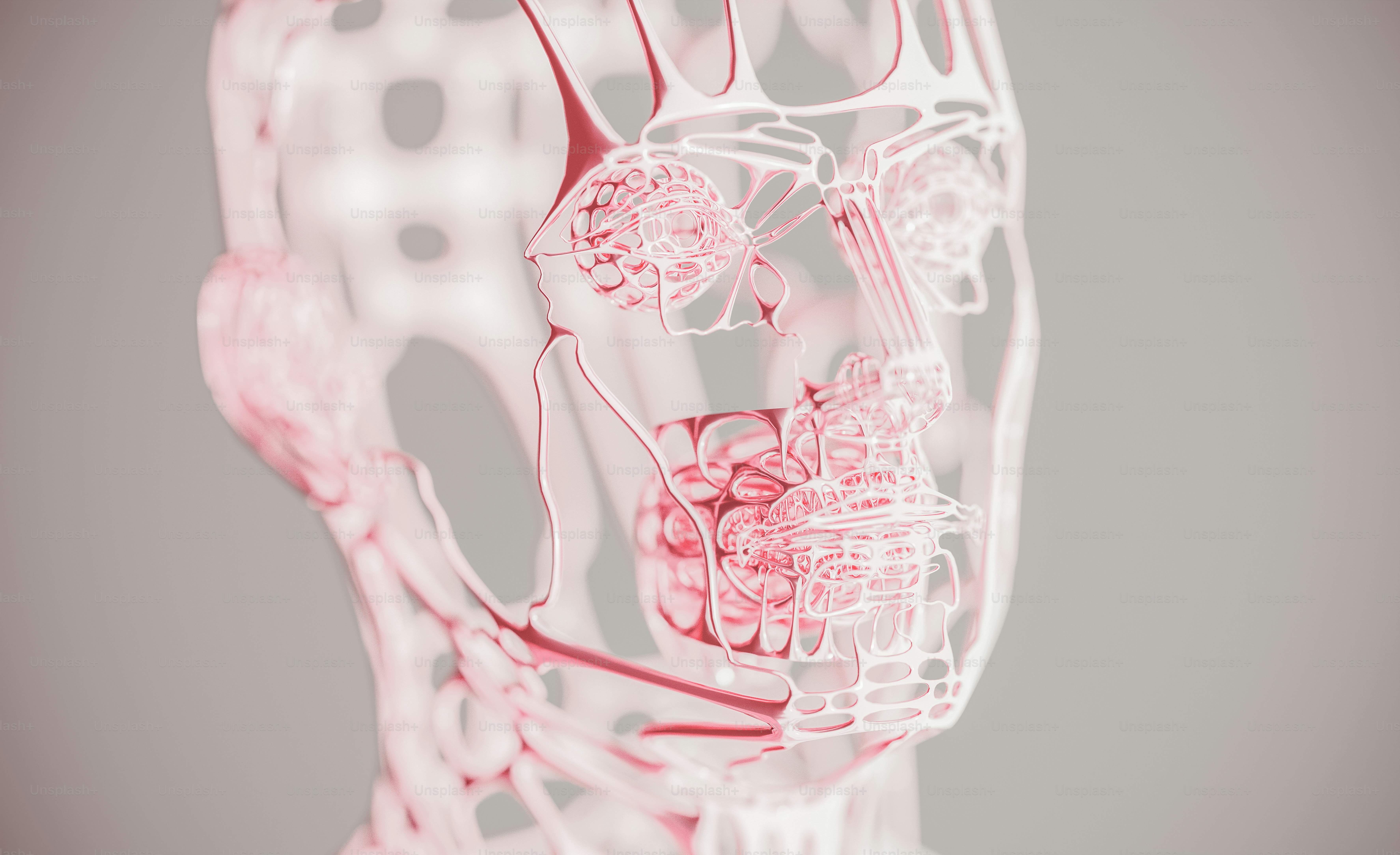 a 3d image of a human head with the muscles highlighted