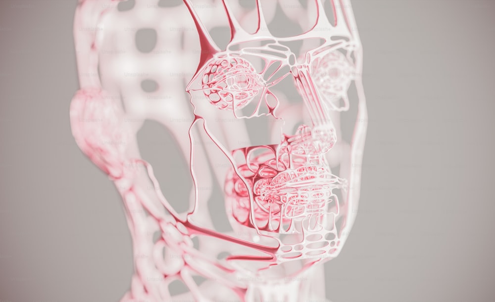 Un'immagine 3D di una testa umana con i muscoli evidenziati