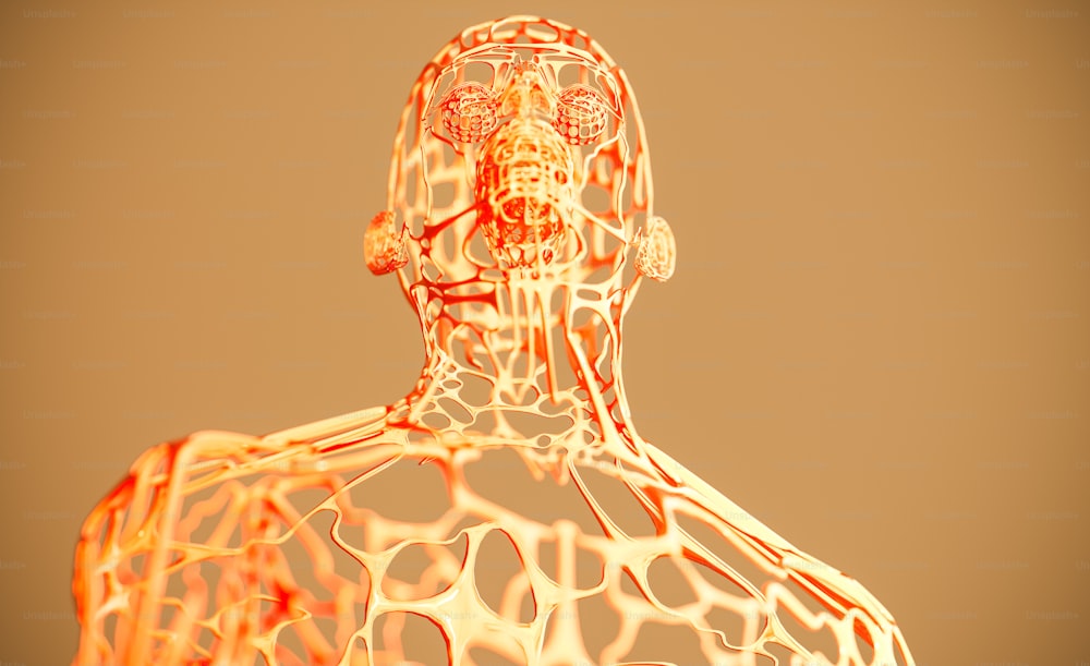 uma imagem gerada por computador de um corpo humano