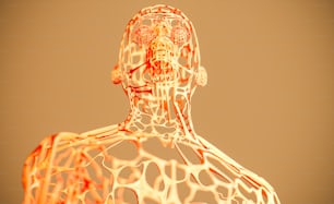 a computer generated image of a human body