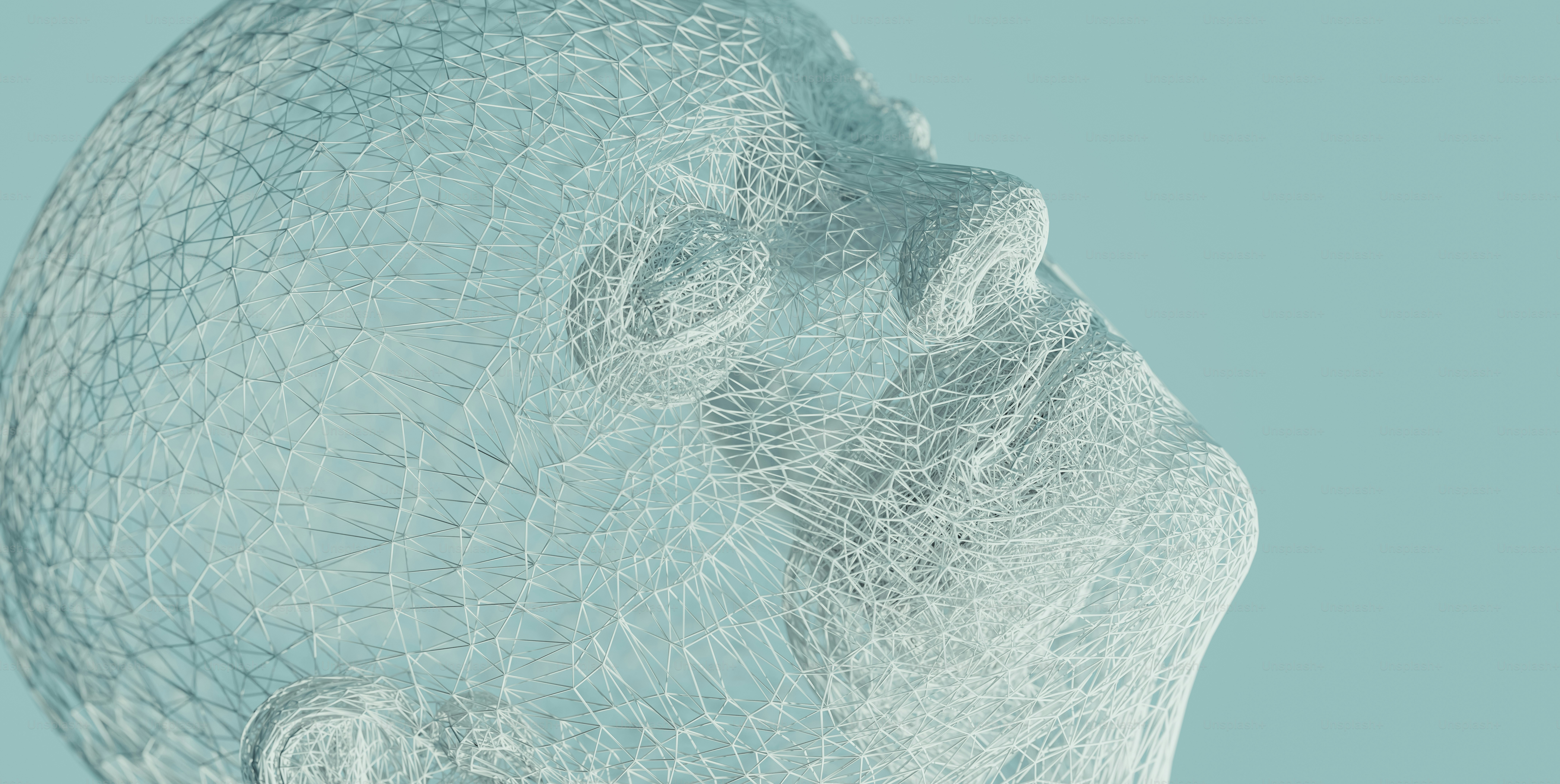 a wire sculpture of a woman's face