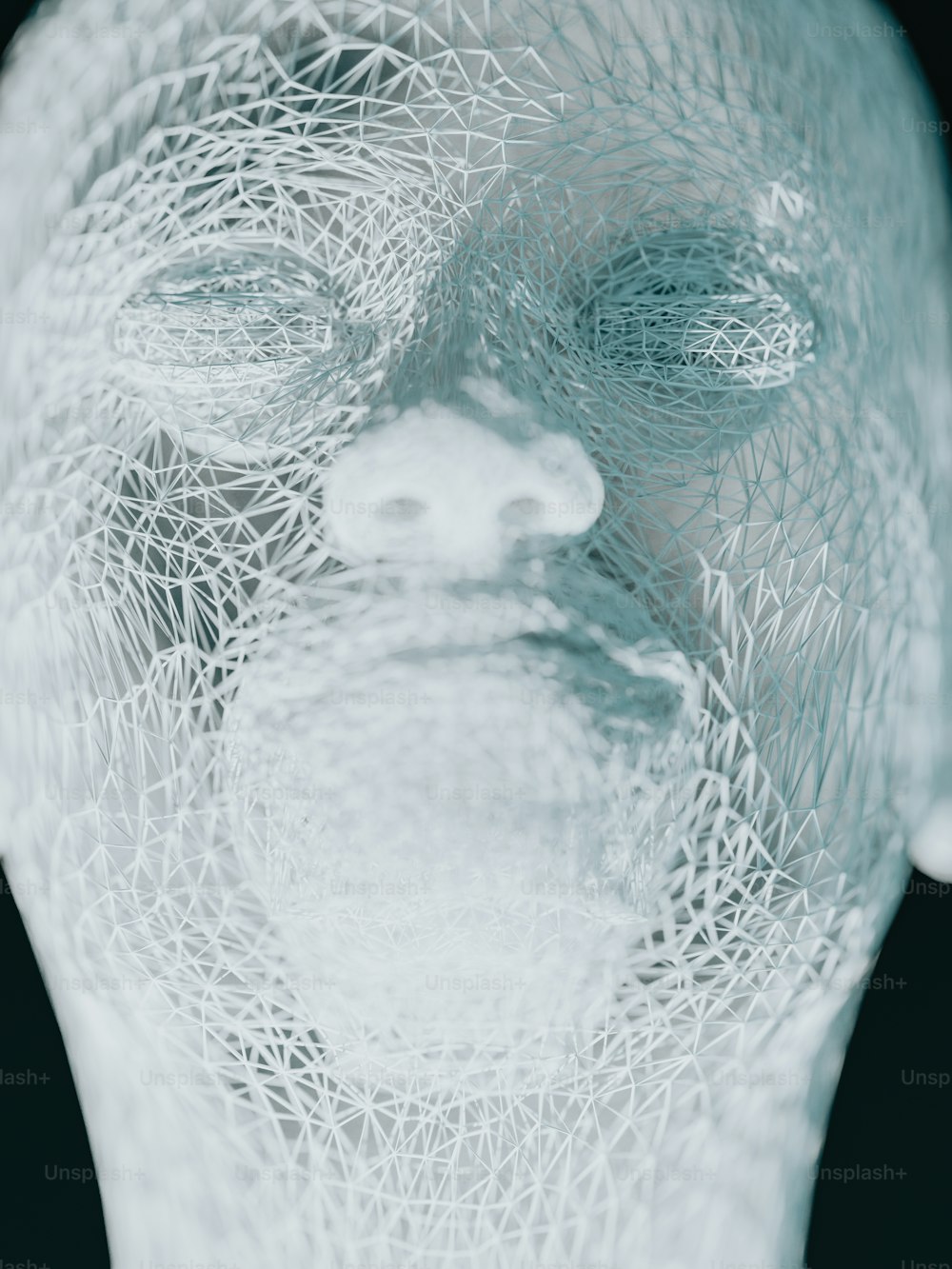 um close up do rosto de uma pessoa feito de arame